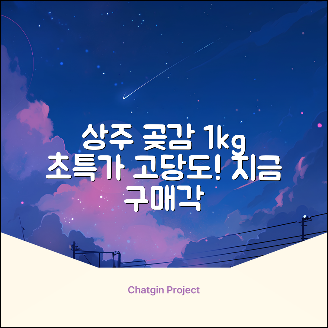 상주 곶감 초특가 1kg 고당도 햇감, 1개 추천 리뷰