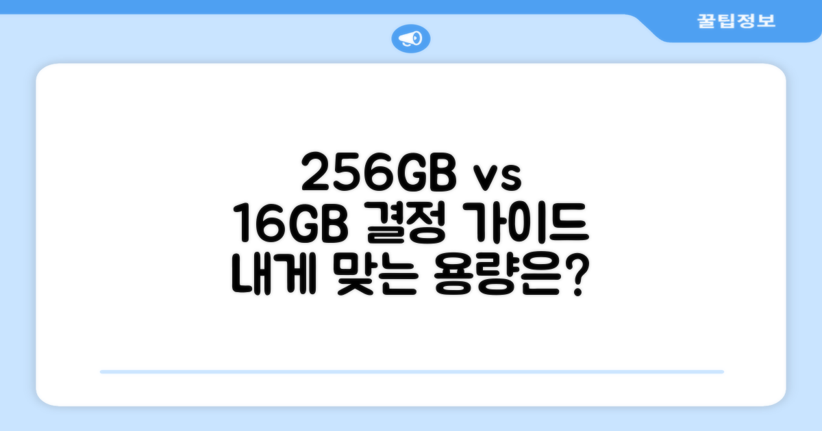 256GB, 16GB 선택 가이드