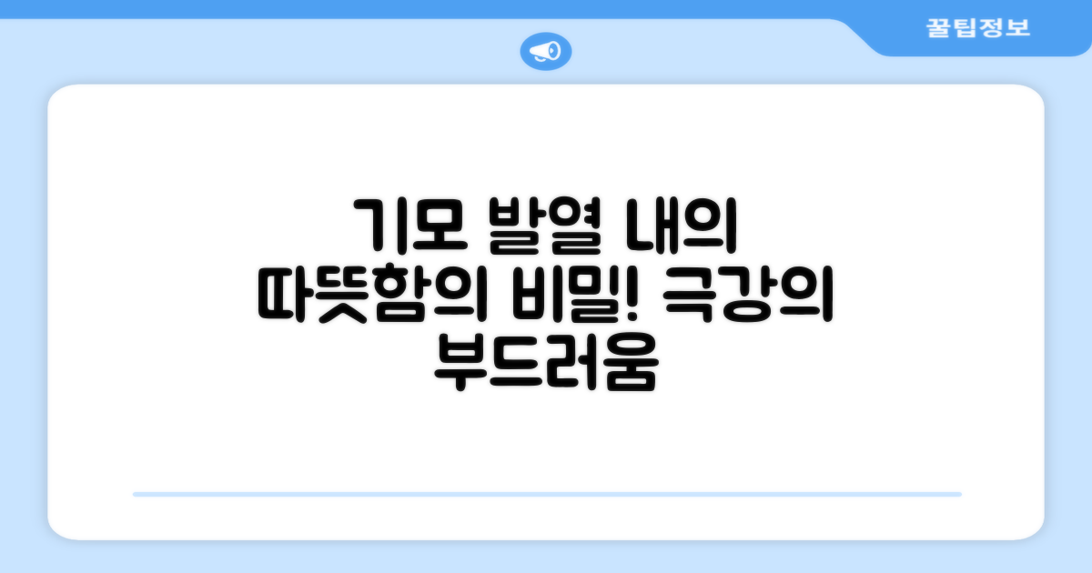 따뜻함의 비밀: 기모 발열 내의