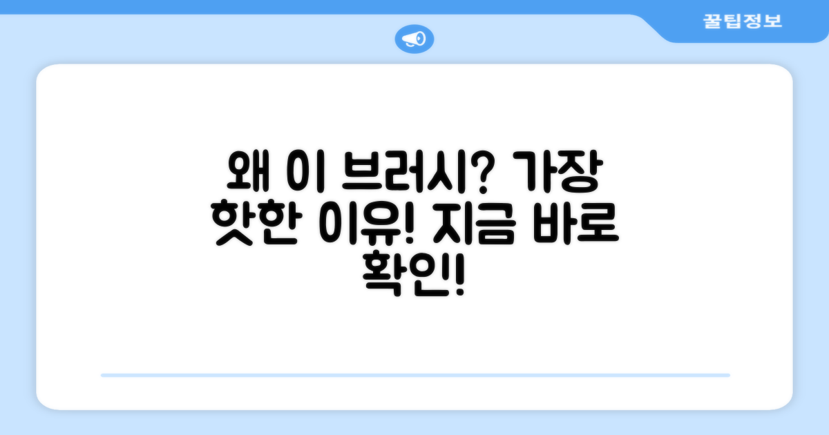 왜 이 브러시여야 할까?