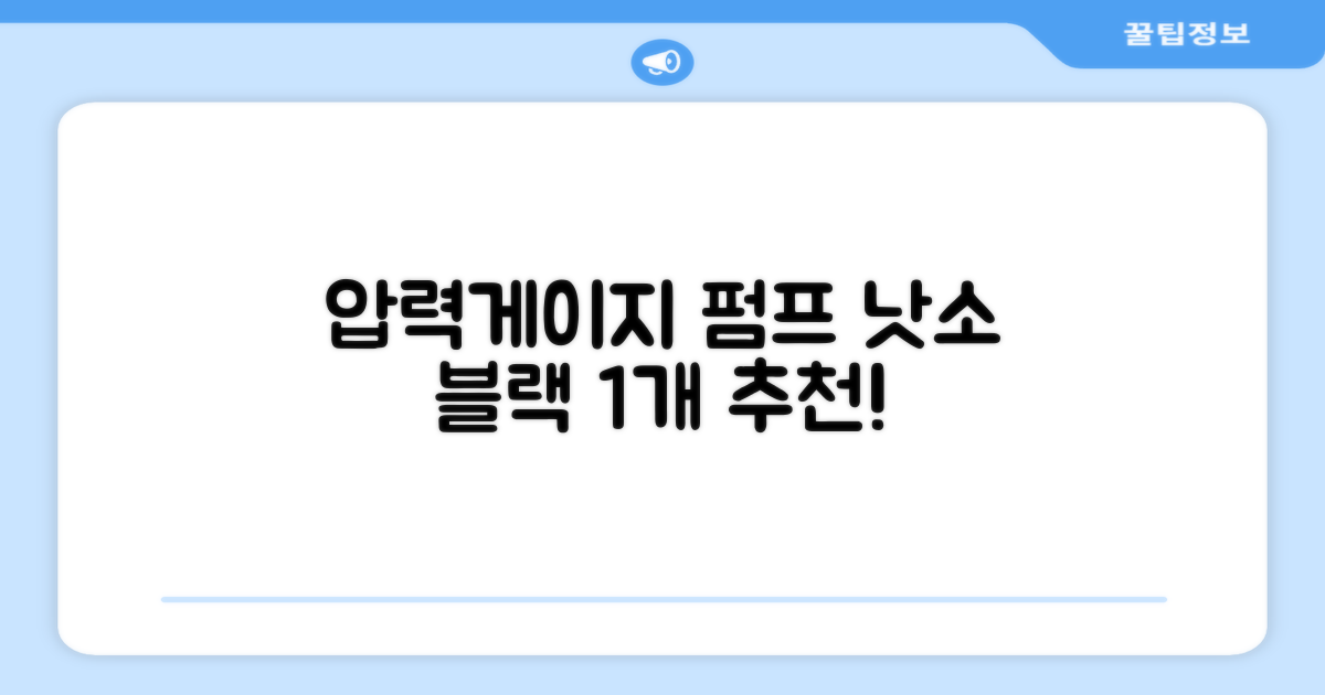 낫소 양방향 압력게이지 펌프, 블랙, 1개 추천 리뷰