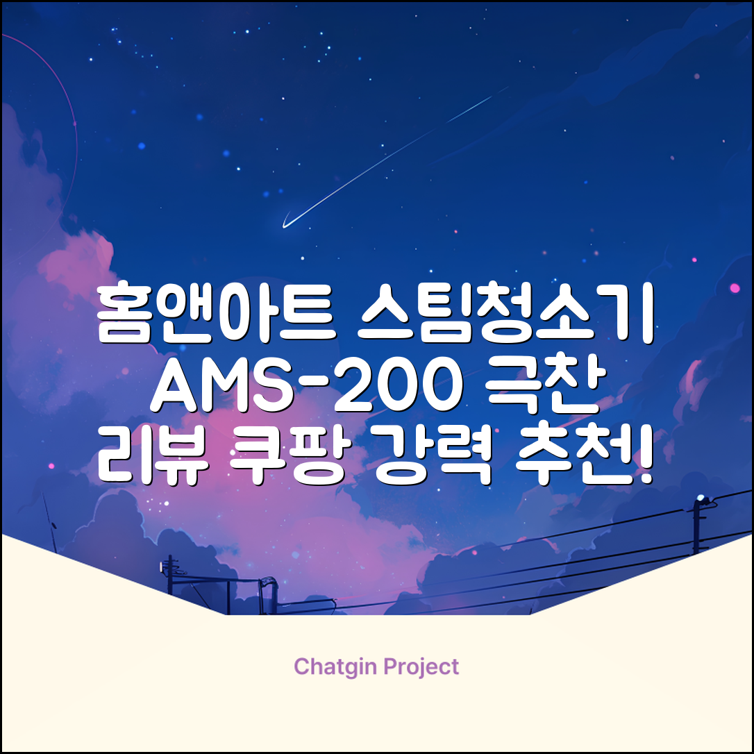 홈앤아트 퓨어 스팀청소기 AMS-200 추천 리뷰