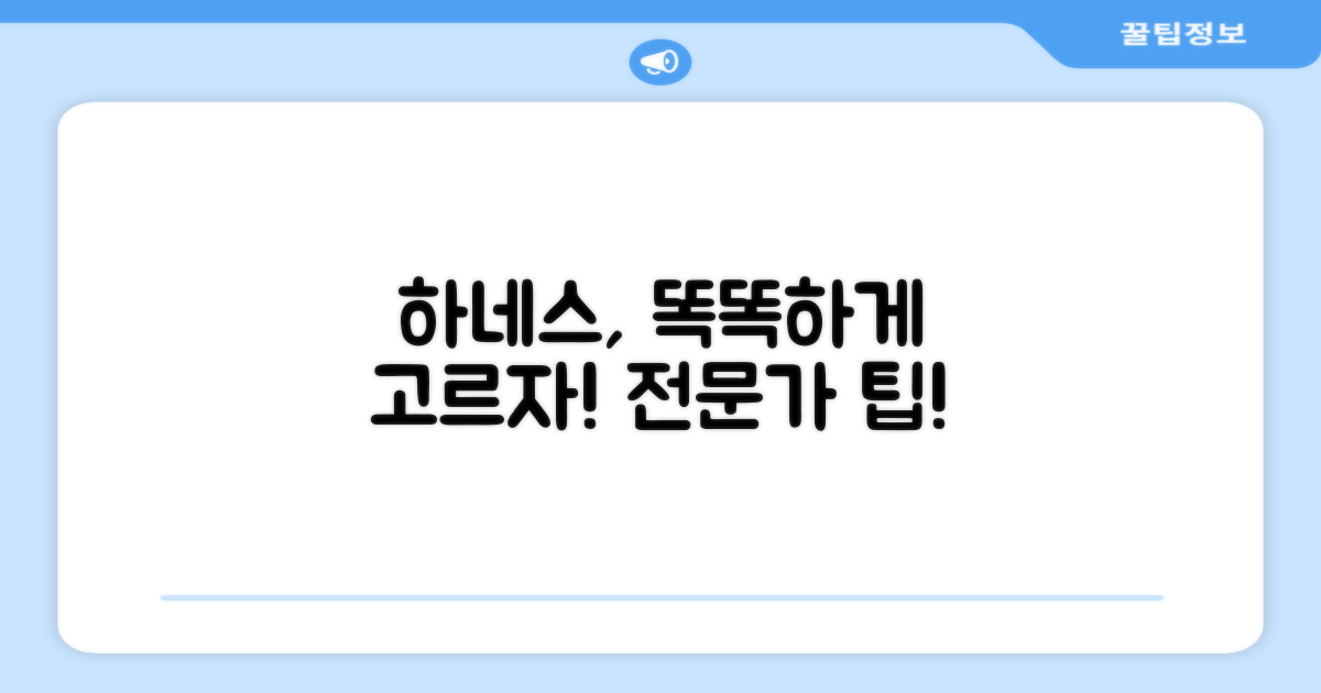 하네스, 올바르게 선택하세요!