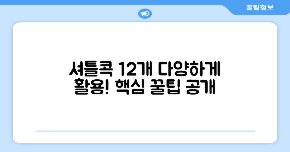 12개의 셔틀콕, 어떻게 쓸까?