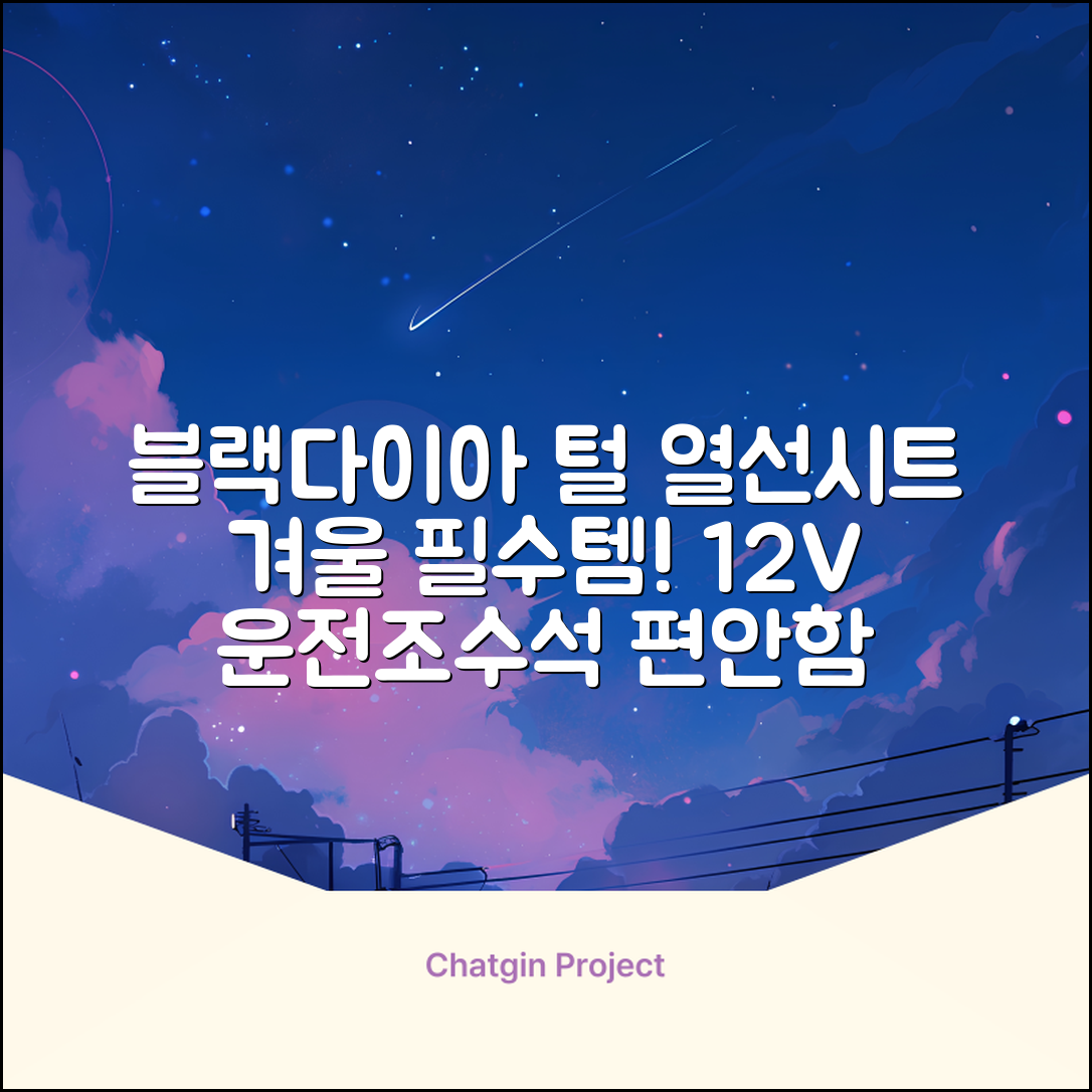 블랙다이아 차량용 열선시트 (1P) 털 겨울 히팅 전기시트, 1개, 12V (운전/조수석) 추천 리뷰