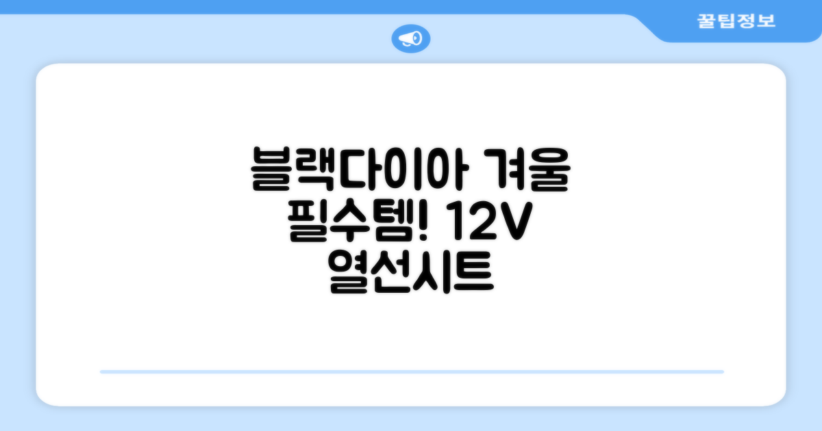 블랙다이아 차량용 열선시트 (1P) 털 겨울 히팅 전기시트, 1개, 12V (운전/조수석) 추천 리뷰